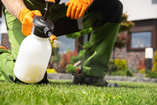 Best Bird Control  in The Pinehills, MA