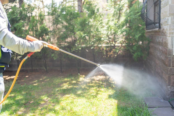 Best Termite Control Services  in The Pinehills, MA