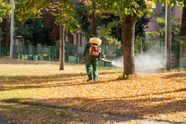 Best Flea Control Services  in The Pinehills, MA