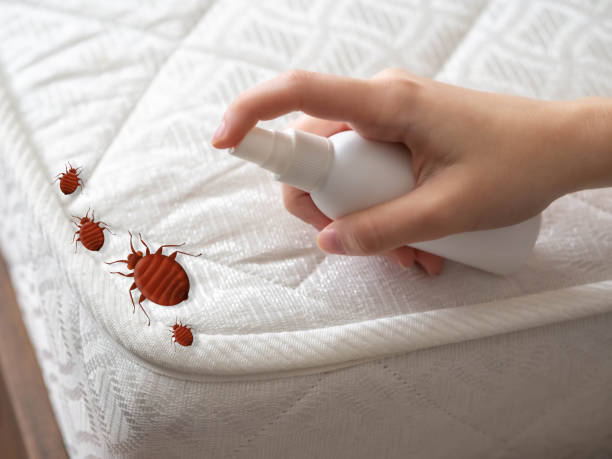 Best Best Pest Control Companies  in The Pinehills, MA